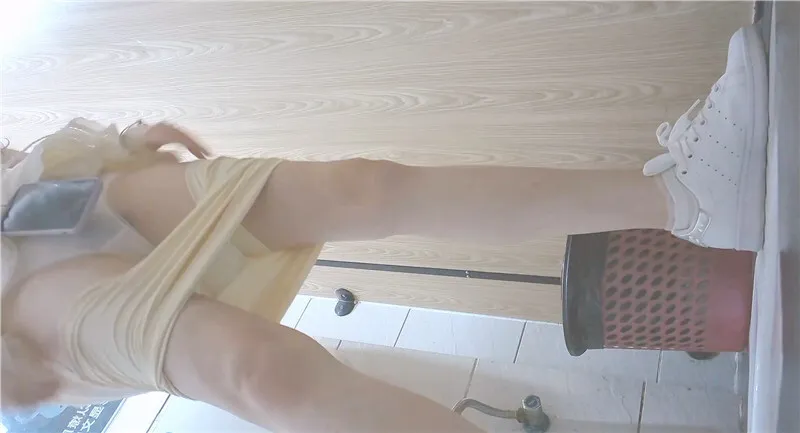 大神潜入商场女厕全景偷拍连衣裙少妇的多毛肥鲍鱼